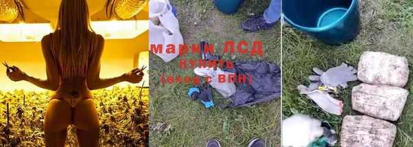 амф Зерноград