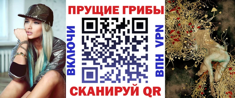 Купить где  Моздок  Псилоцибиновые грибы мицелий 